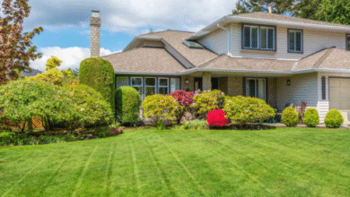 professional landscape company