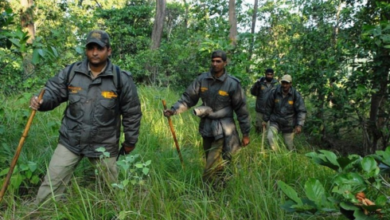 forest van vibhag vacancy