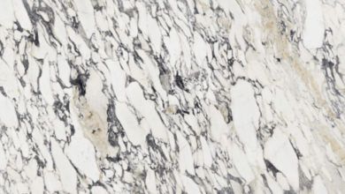 Calacatta Viola Marble