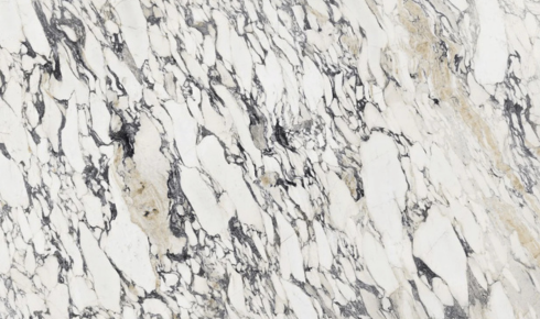 Calacatta Viola Marble
