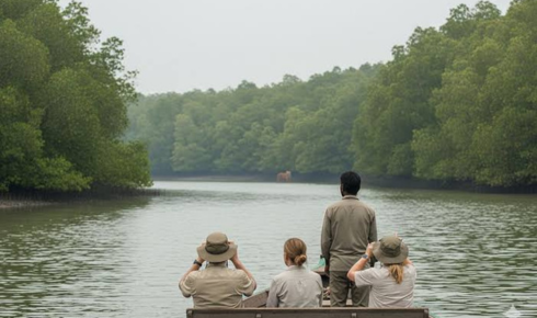 Sundarban tour